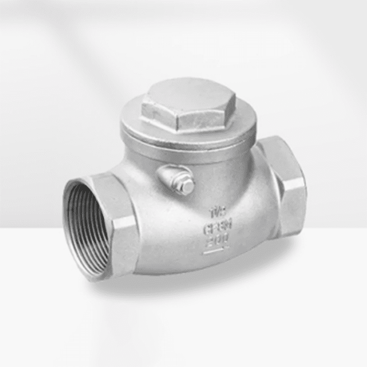 Stainless Steel Swing Check Valve Class 200 Threaded NPT/RC