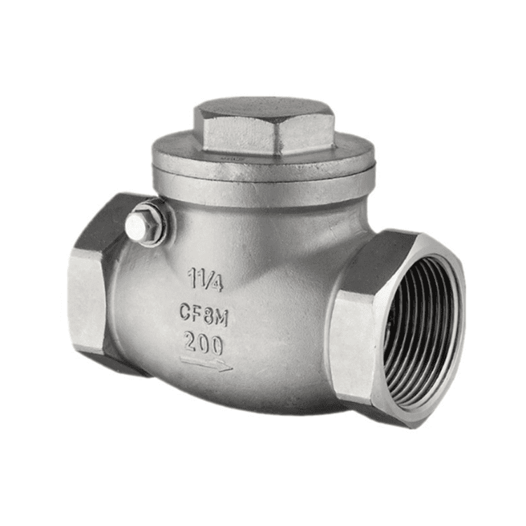 Stainless Steel Swing Check Valve Class 200 Threaded NPT/RC
