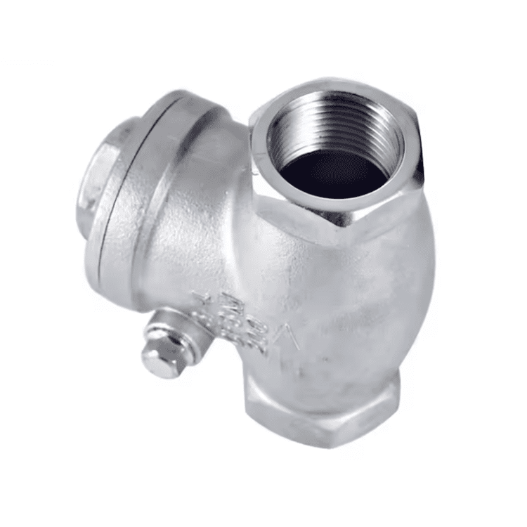 Stainless Steel Swing Check Valve Class 200 Threaded NPT/RC